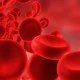 Emoglobina: un test importante