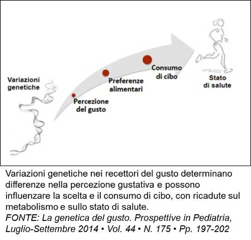 Variazioni geniche recettori gusto