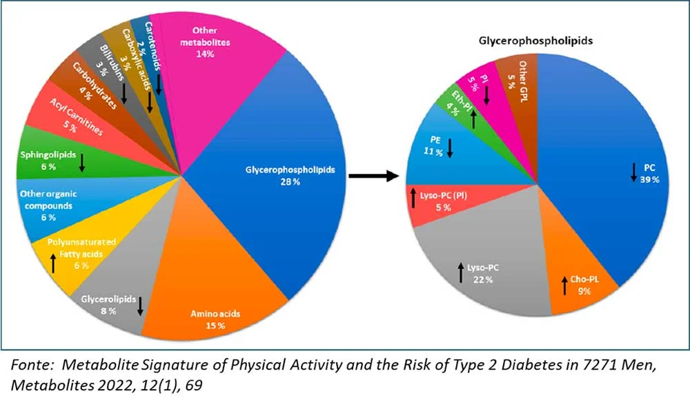 L’attività fisica regolare modifica il metabolismo abbassando il rischio di diabete tipo 2